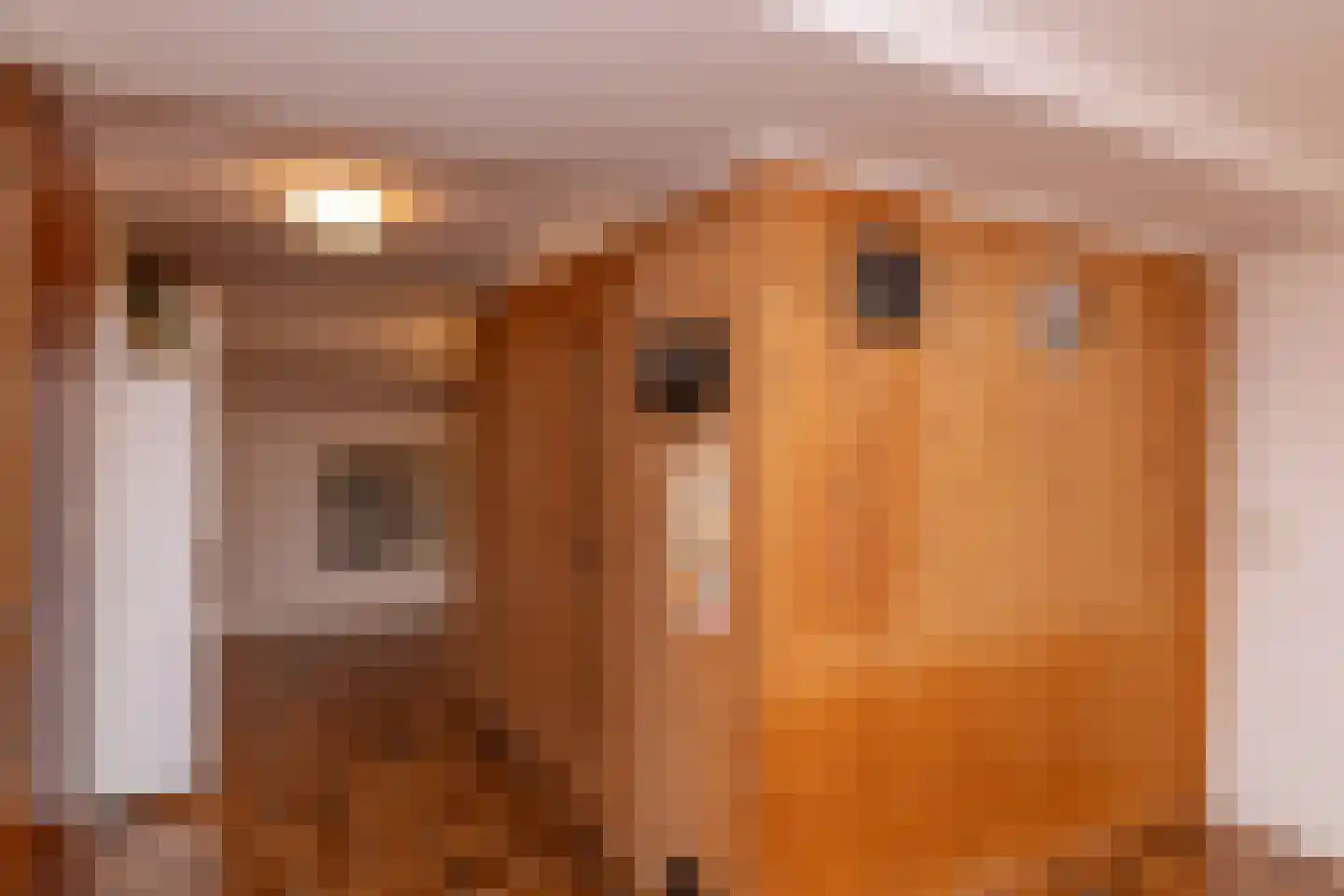 Het Hoge Holt 23 Hoogeveen thumbnail 54