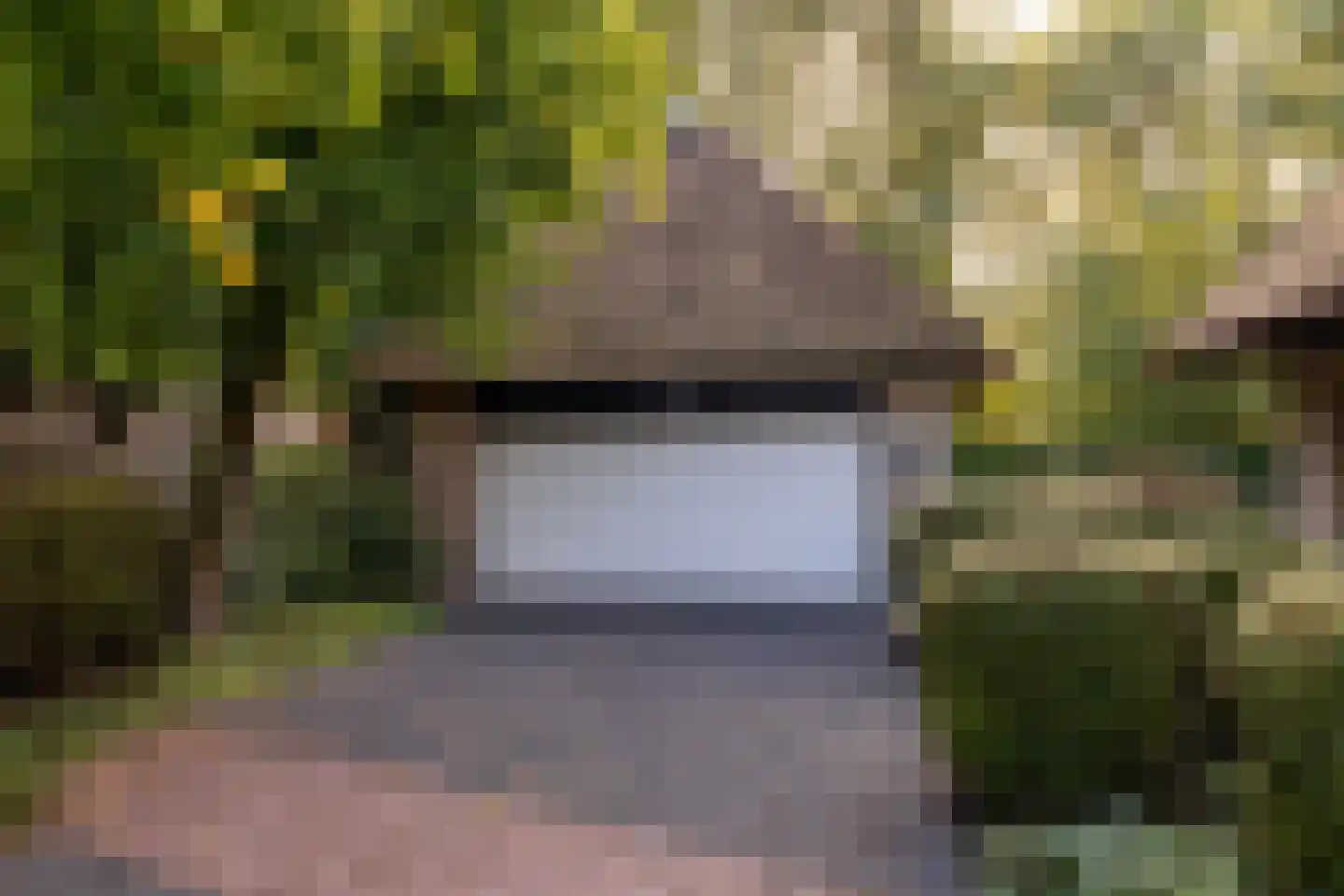 Het Hoge Holt 23 Hoogeveen thumbnail 58