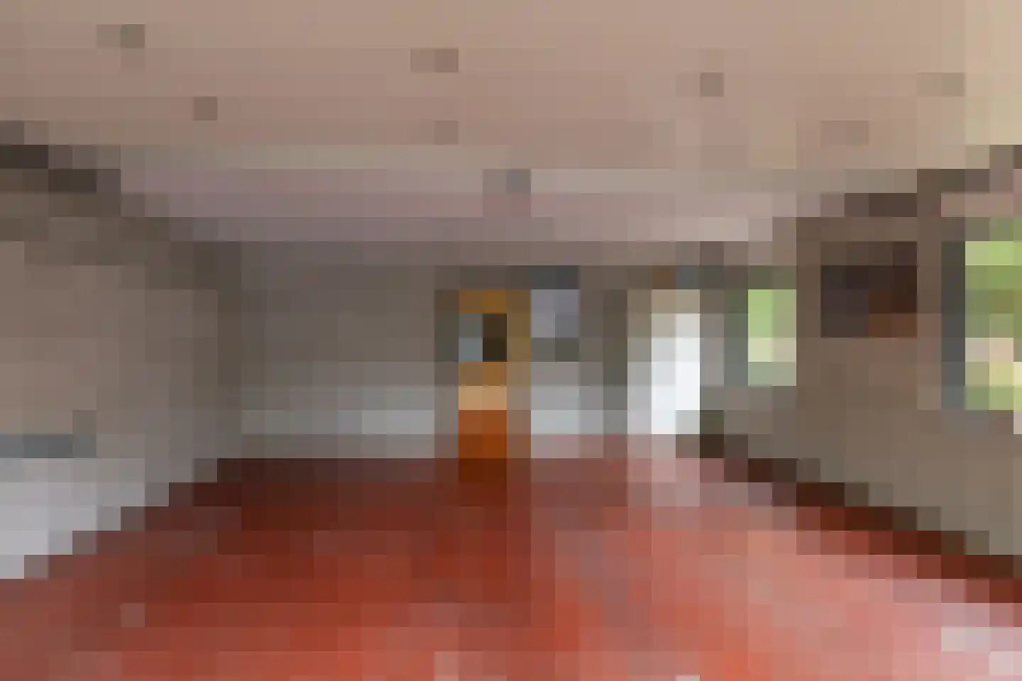Het Hoge Holt 23 Hoogeveen thumbnail 59