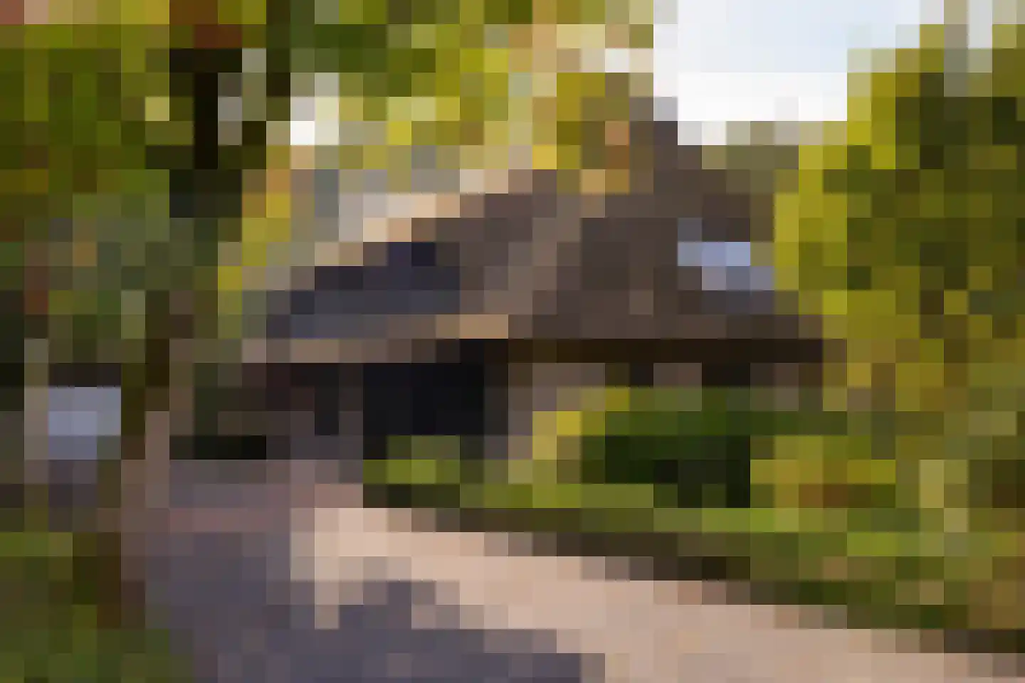 Het Hoge Holt 23 Hoogeveen thumbnail 6