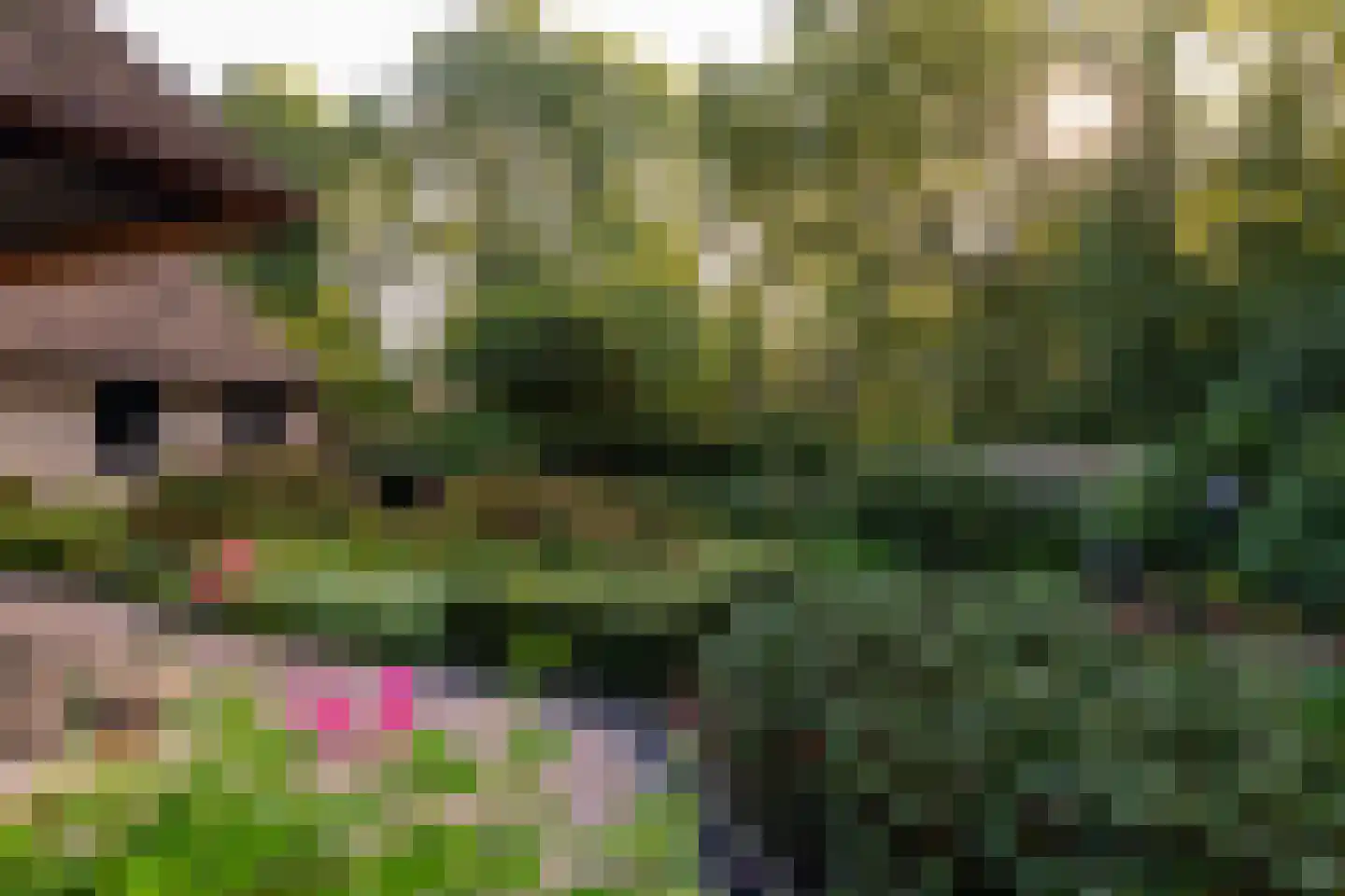 Het Hoge Holt 23 Hoogeveen thumbnail 64