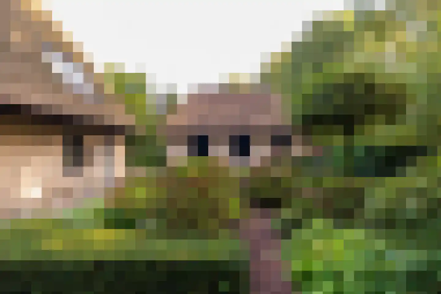 Het Hoge Holt 23 Hoogeveen thumbnail 65