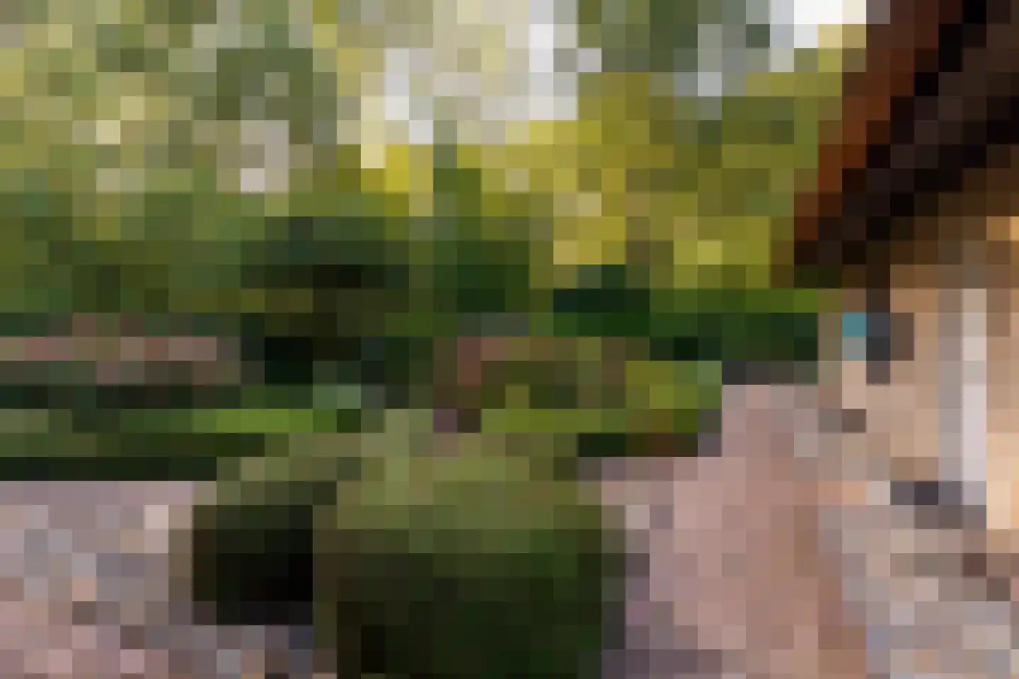 Het Hoge Holt 23 Hoogeveen thumbnail 66