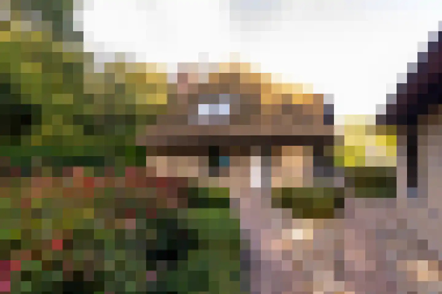 Het Hoge Holt 23 Hoogeveen thumbnail 67