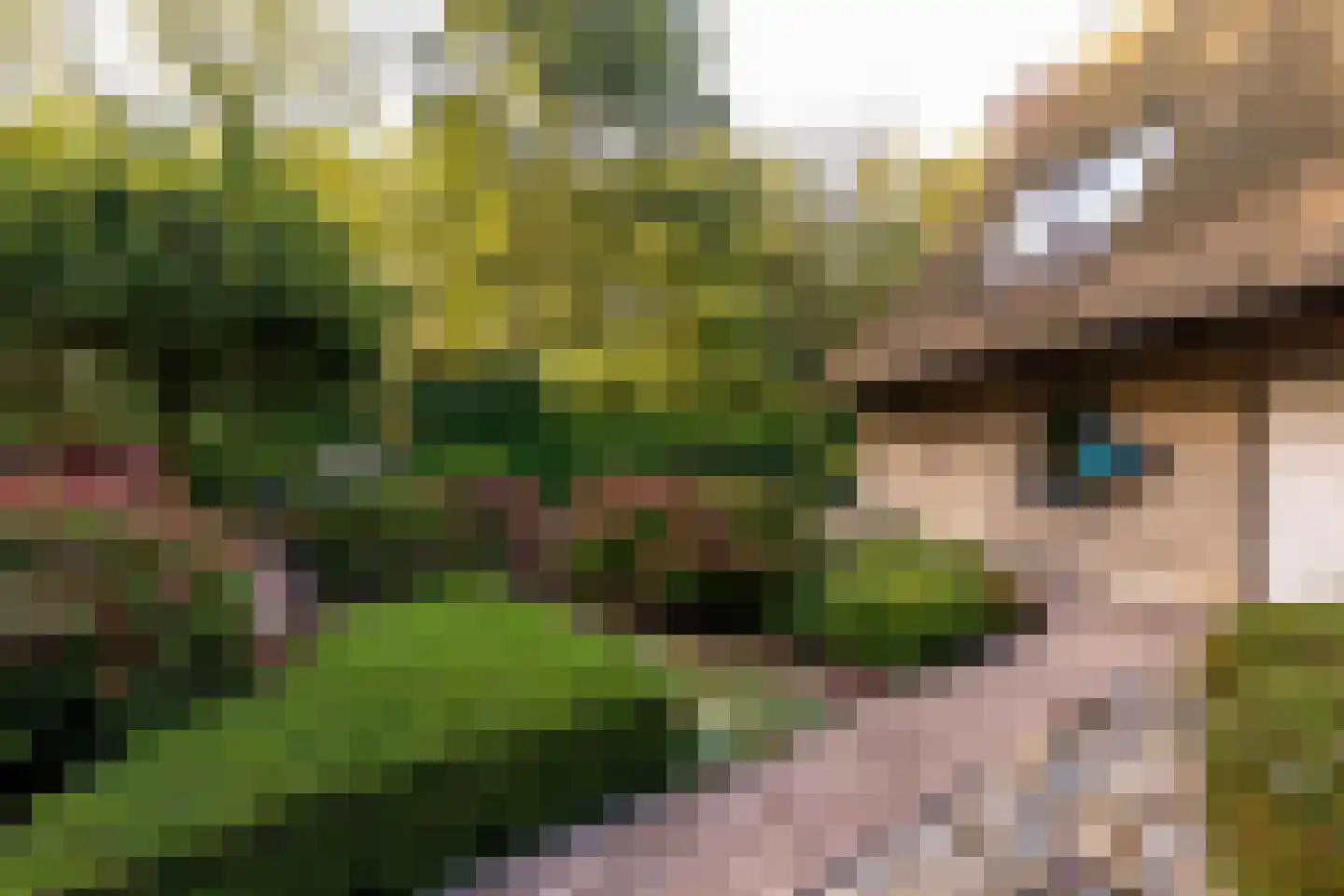 Het Hoge Holt 23 Hoogeveen thumbnail 68