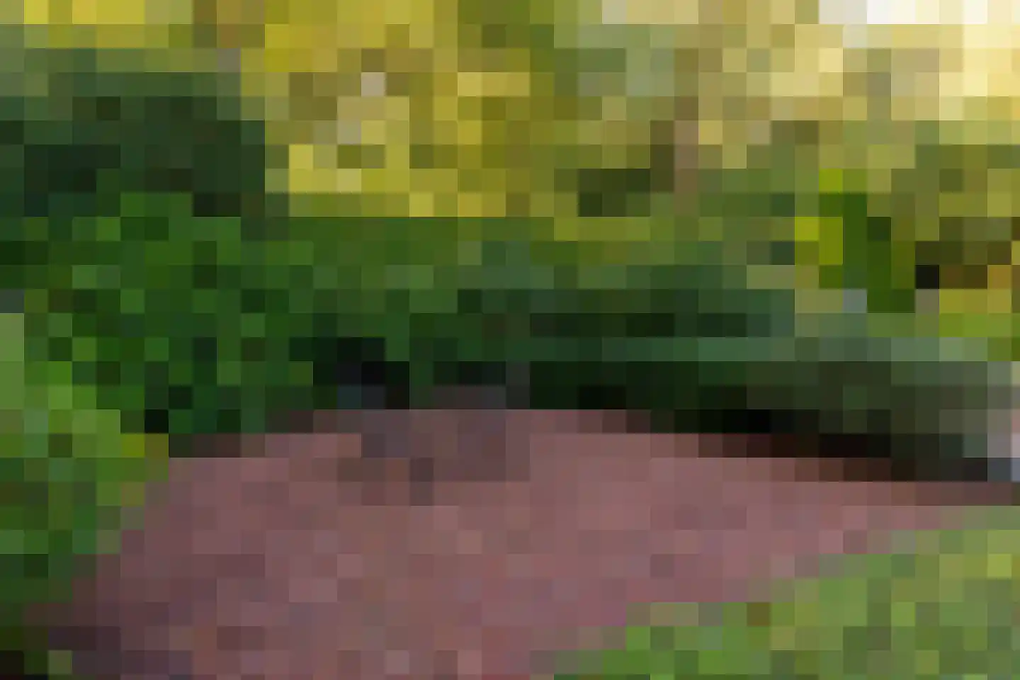 Het Hoge Holt 23 Hoogeveen thumbnail 69