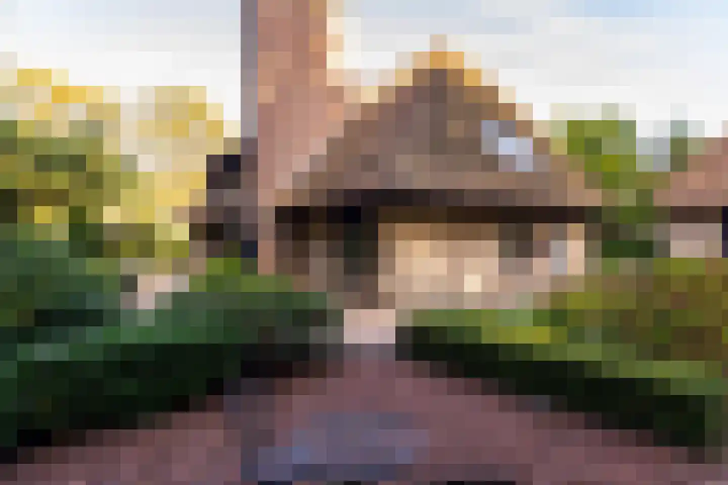Het Hoge Holt 23 Hoogeveen thumbnail 70