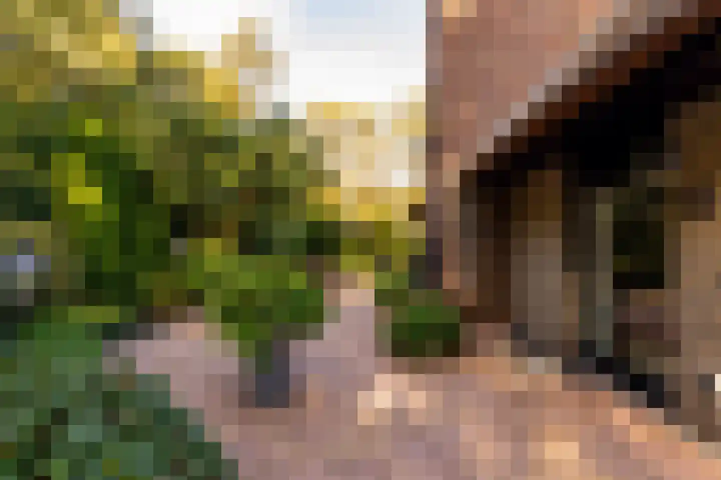 Het Hoge Holt 23 Hoogeveen thumbnail 71