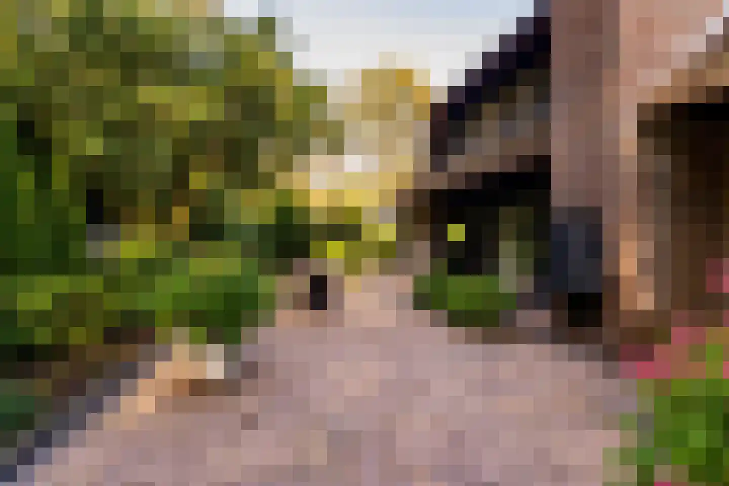 Het Hoge Holt 23 Hoogeveen thumbnail 72