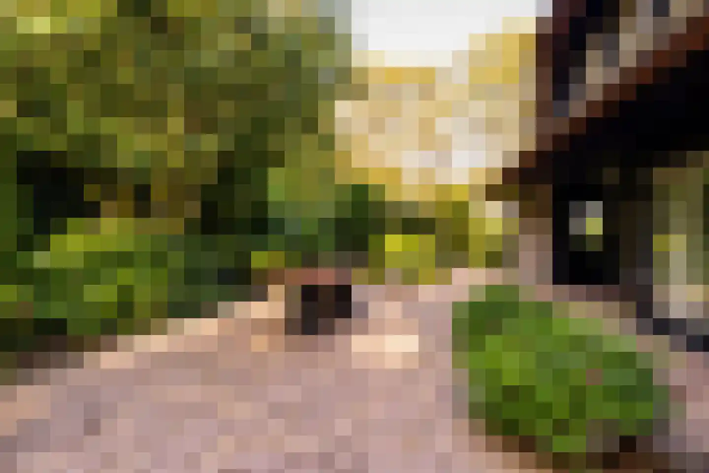 Het Hoge Holt 23 Hoogeveen thumbnail 74