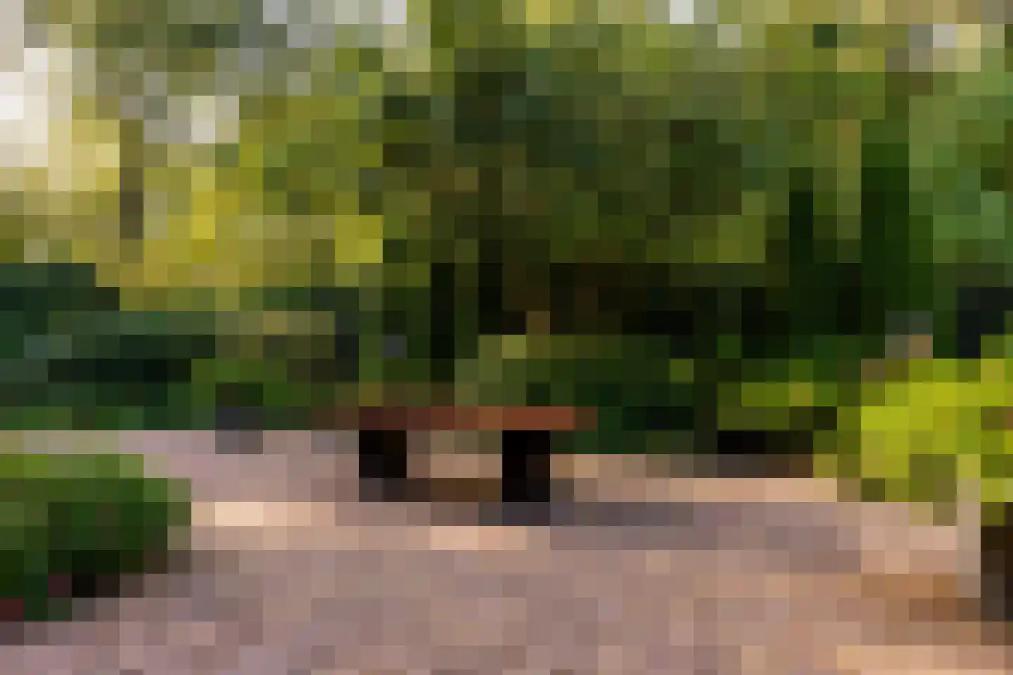 Het Hoge Holt 23 Hoogeveen thumbnail 75