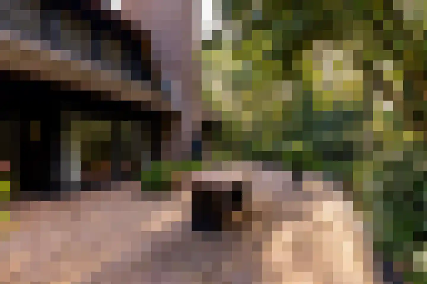 Het Hoge Holt 23 Hoogeveen thumbnail 76