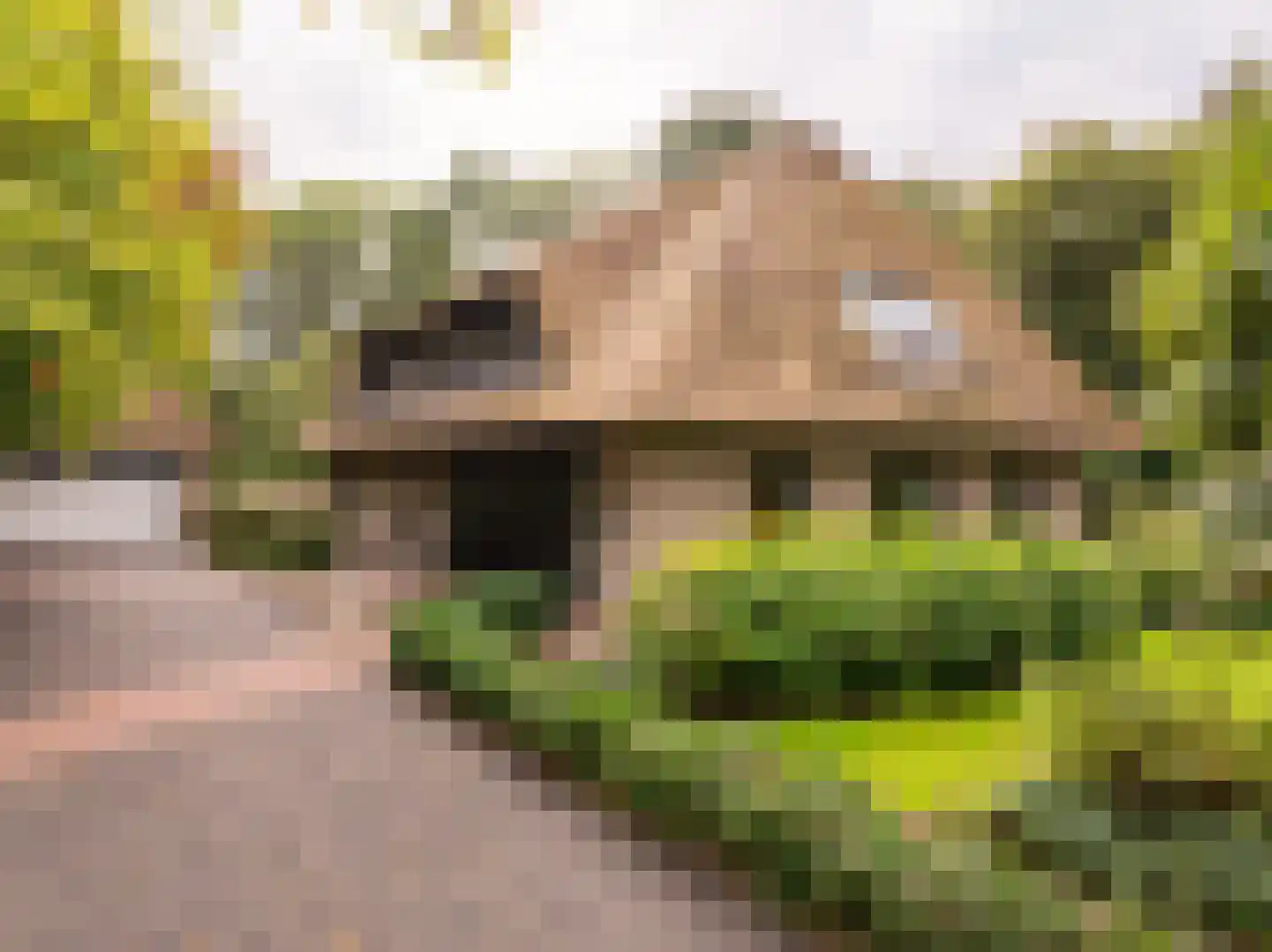 Het Hoge Holt 23 Hoogeveen thumbnail 80