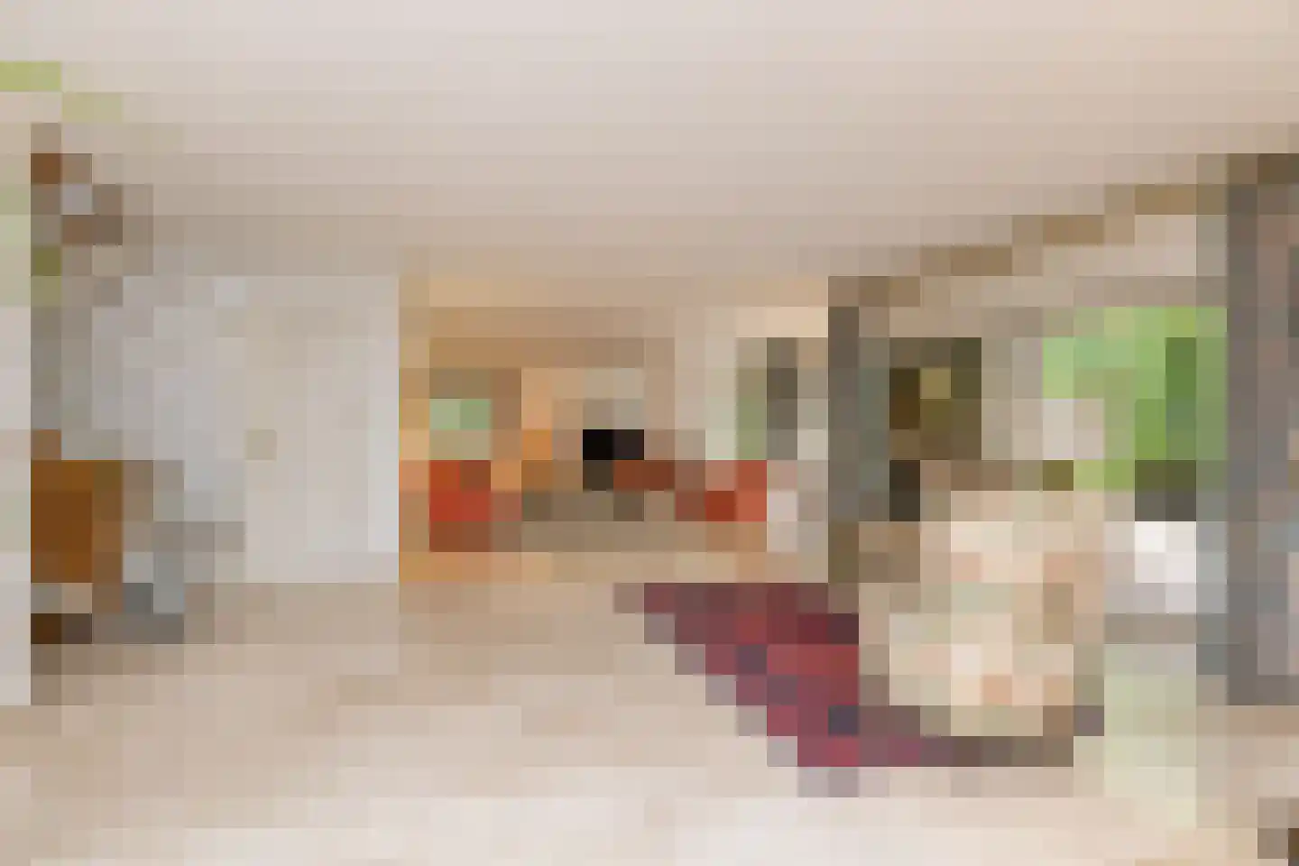 Het Hoge Holt 23 Hoogeveen thumbnail 9