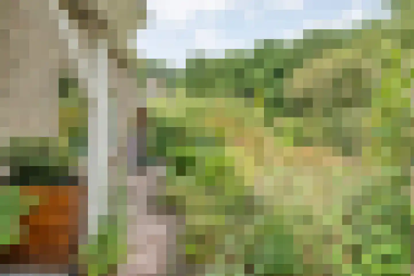 Het Hoge Holt 8 Hoogeveen thumbnail 10