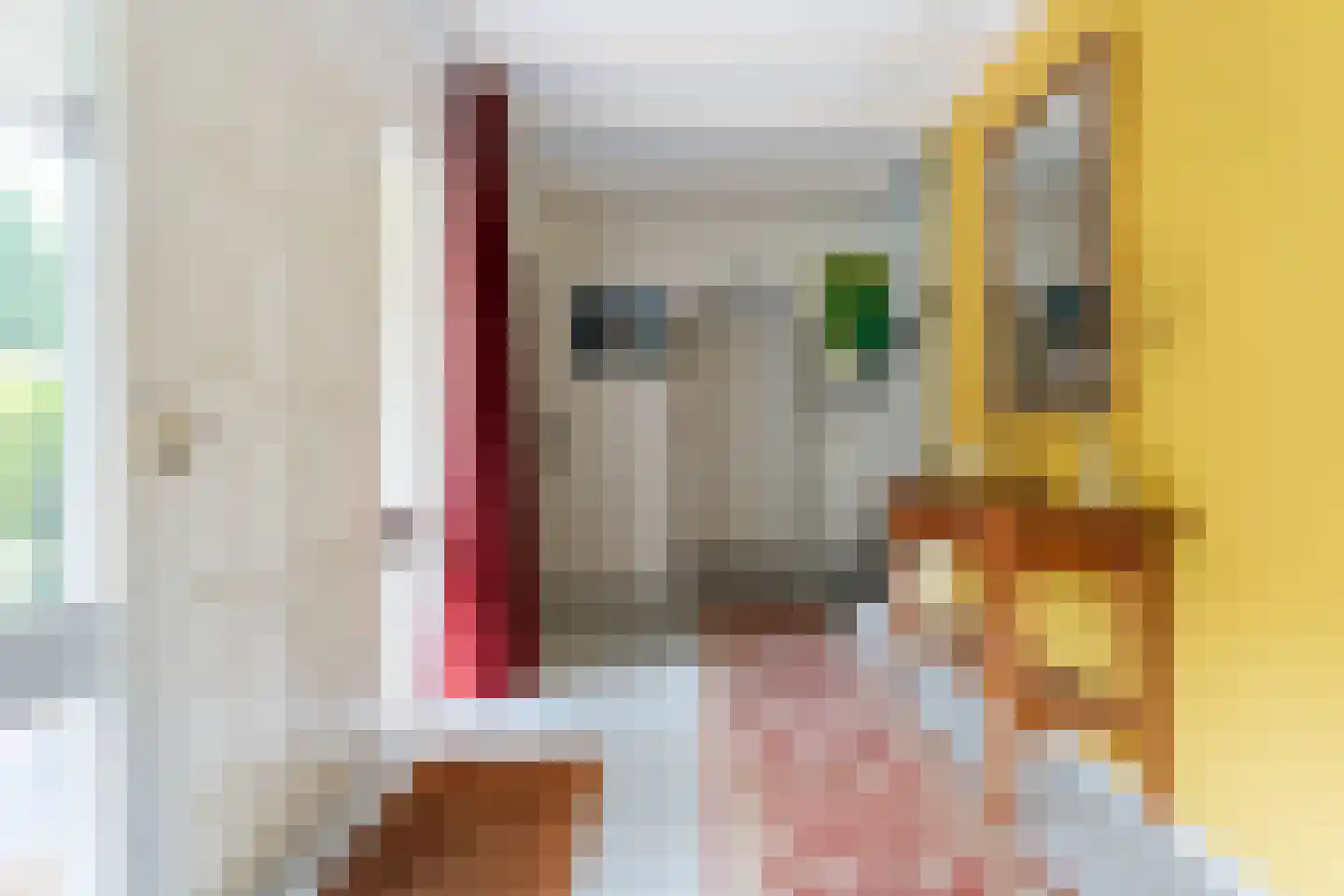 Het Hoge Holt 8 Hoogeveen thumbnail 14