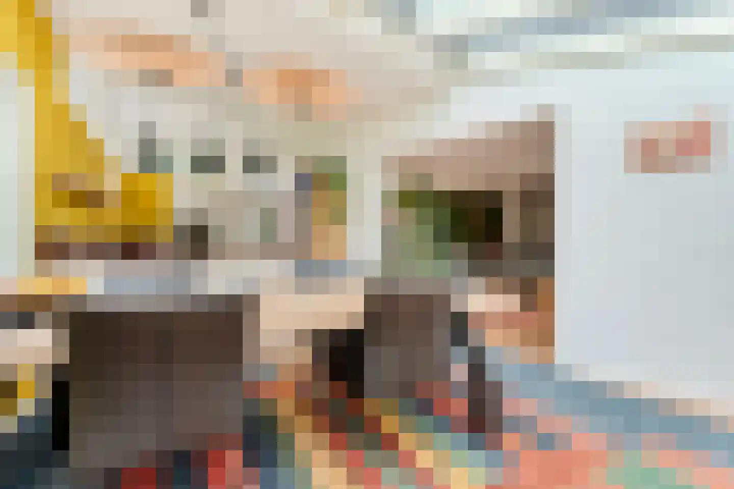 Het Hoge Holt 8 Hoogeveen thumbnail 24