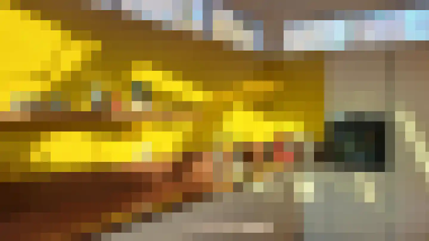 Het Hoge Holt 8 Hoogeveen thumbnail 31