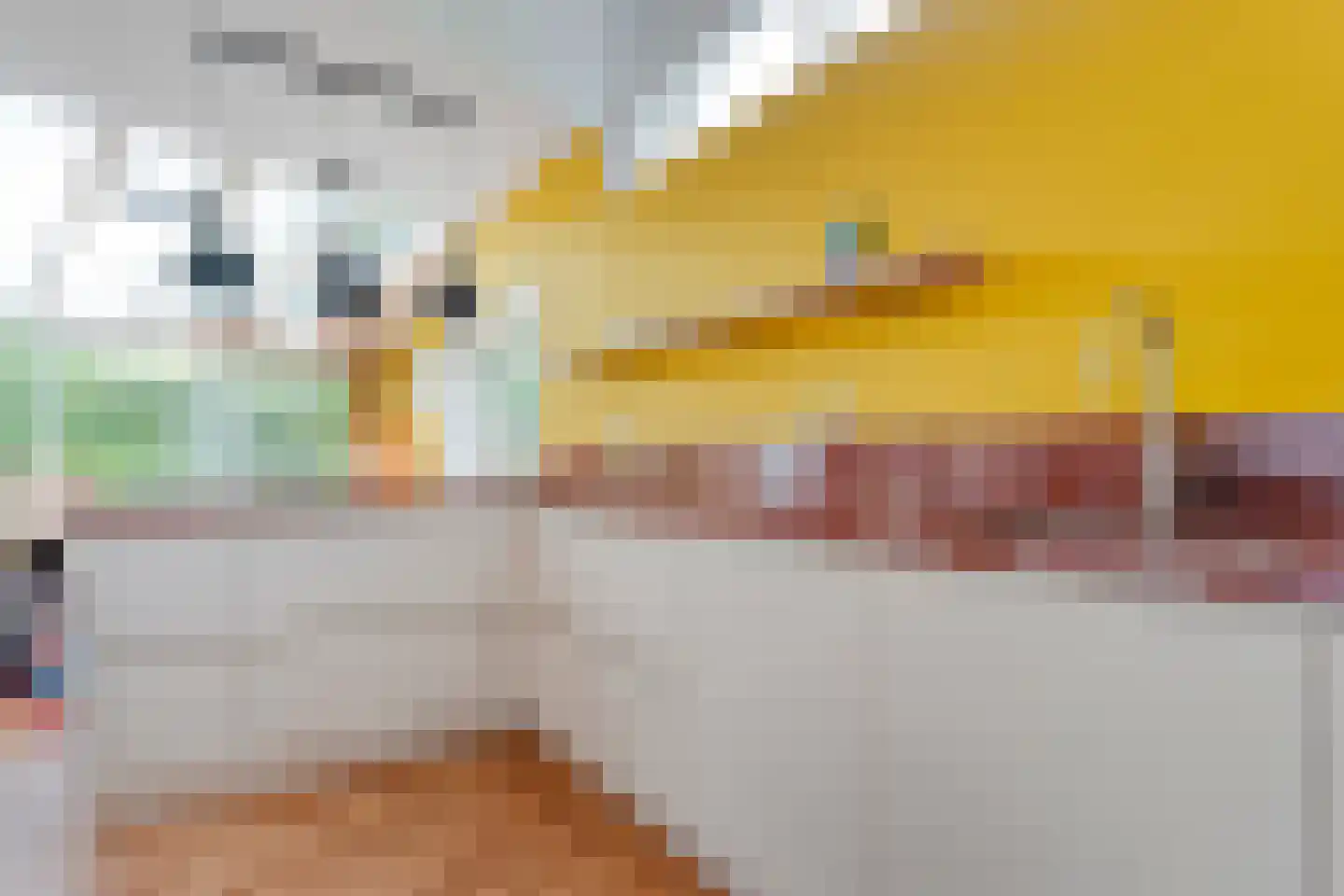 Het Hoge Holt 8 Hoogeveen thumbnail 32
