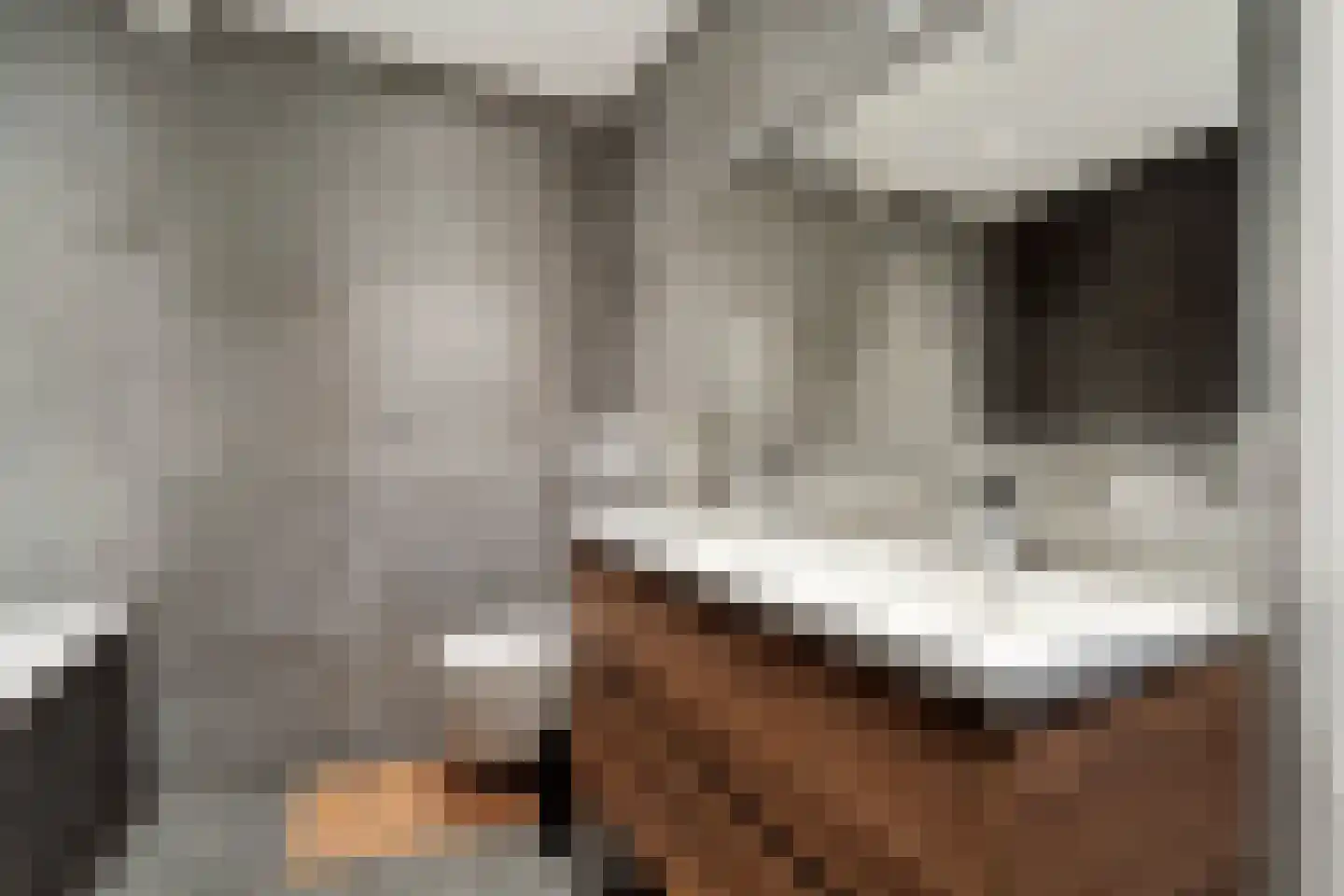 Het Hoge Holt 8 Hoogeveen thumbnail 41