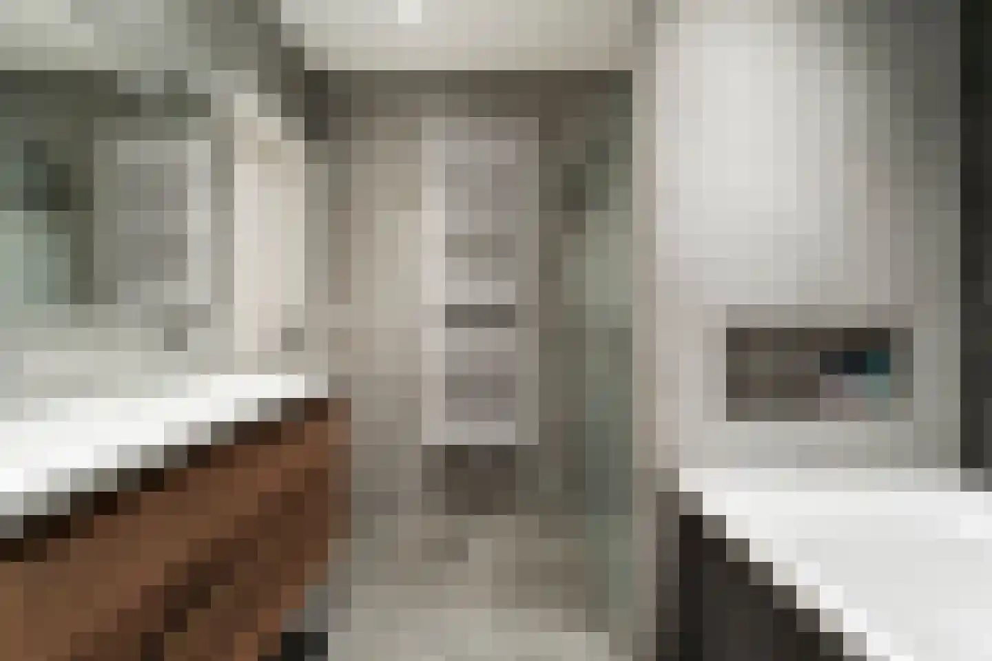 Het Hoge Holt 8 Hoogeveen thumbnail 42