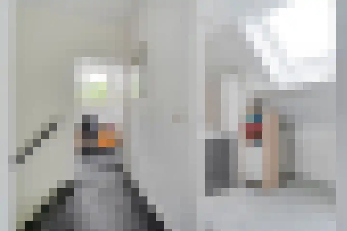 Het Hoge Holt 8 Hoogeveen thumbnail 45
