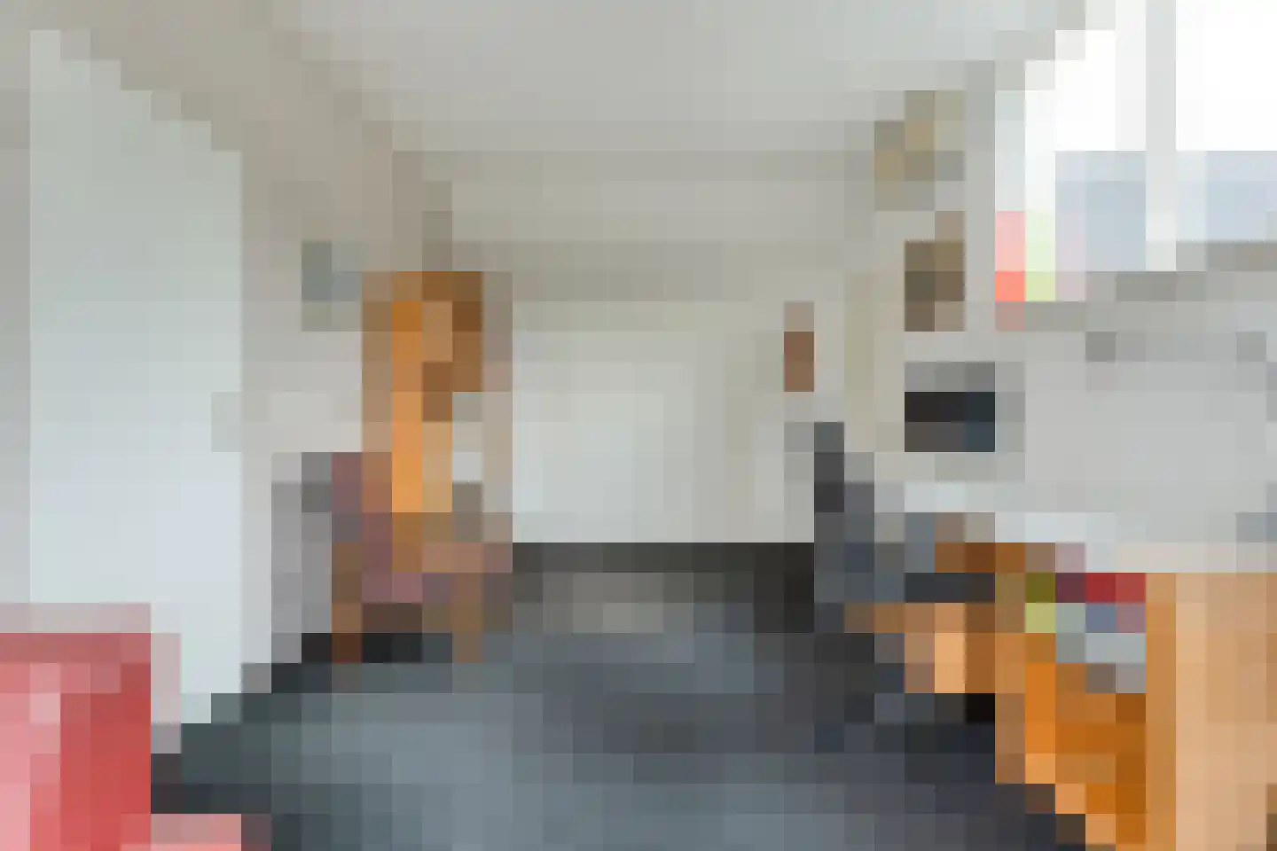 Het Hoge Holt 8 Hoogeveen thumbnail 48