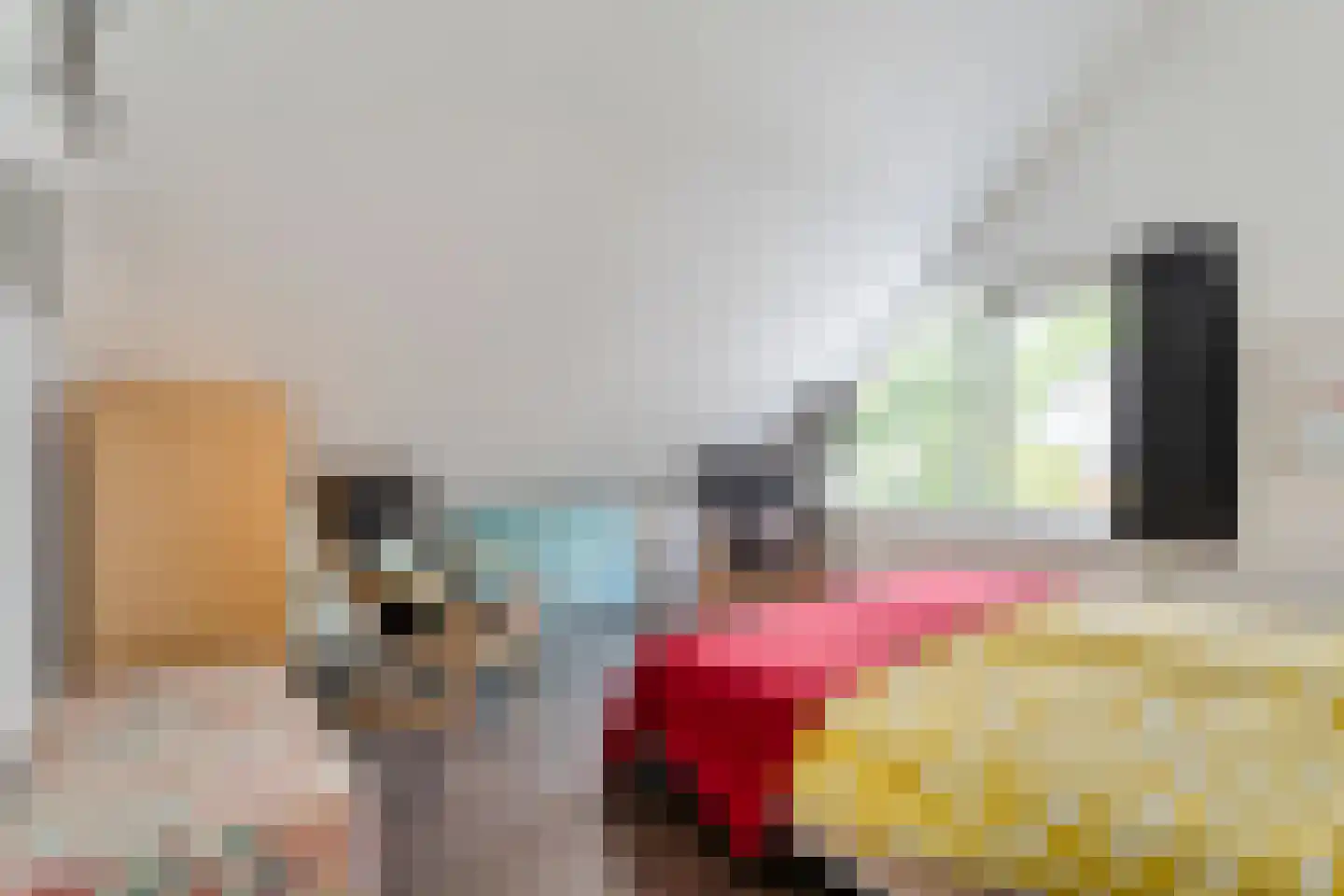 Het Hoge Holt 8 Hoogeveen thumbnail 51