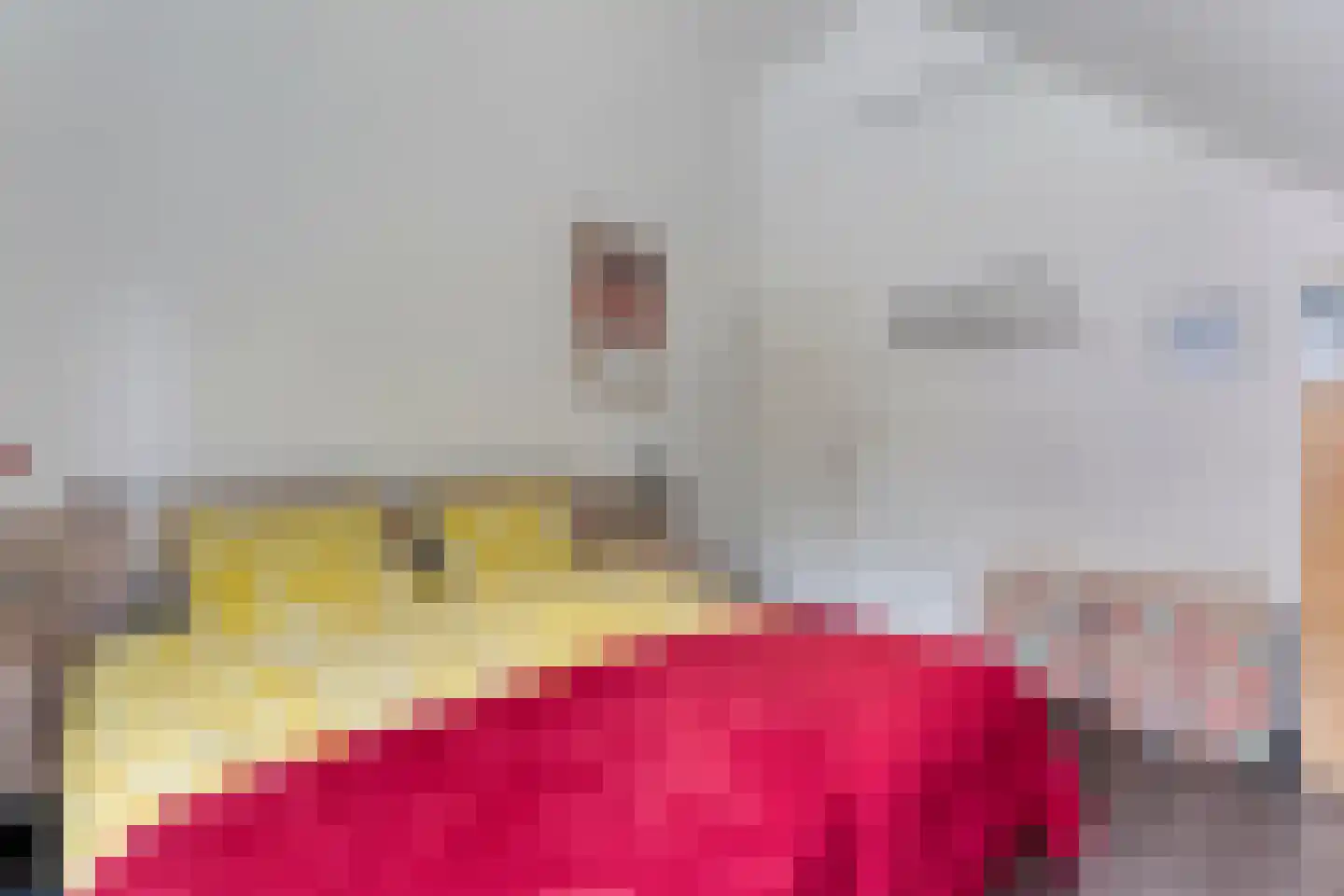 Het Hoge Holt 8 Hoogeveen thumbnail 52