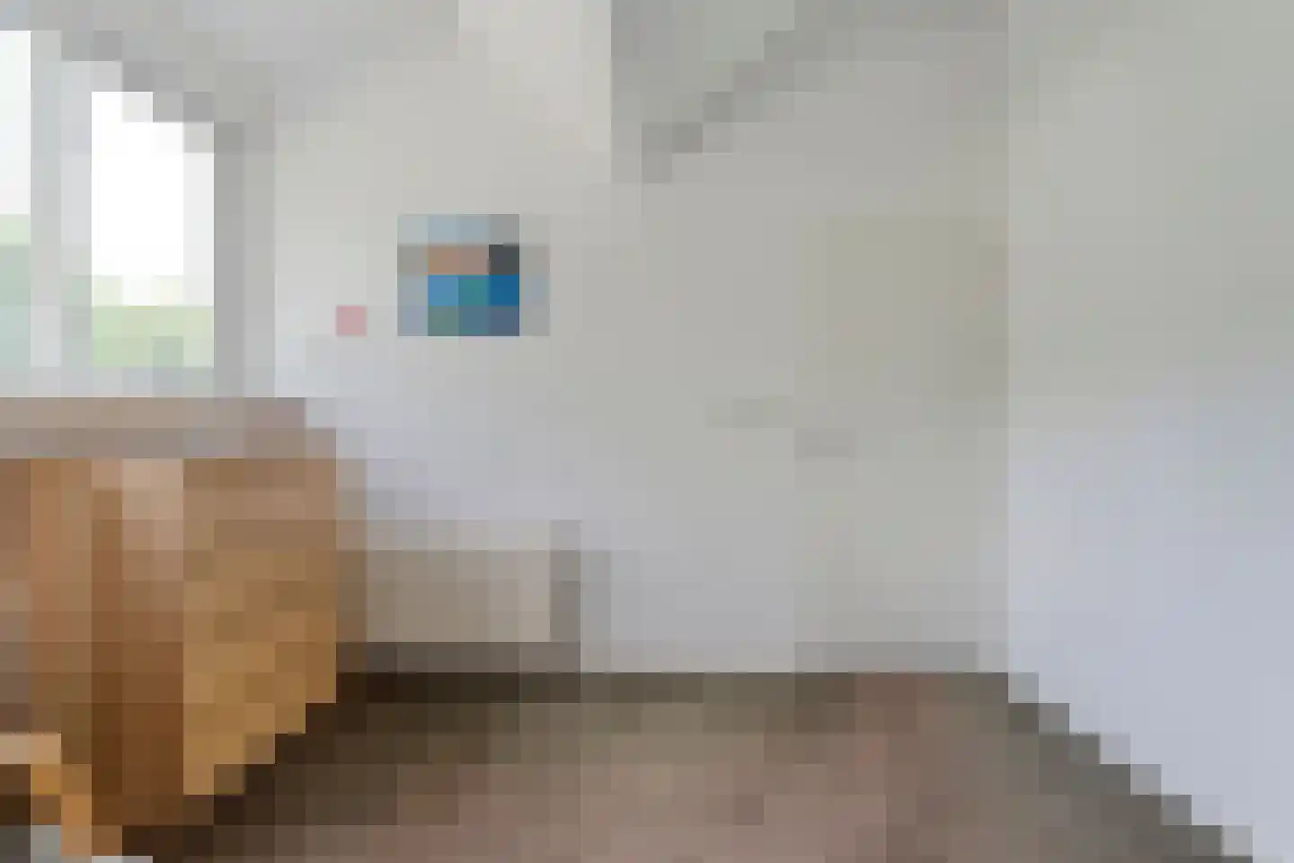 Het Hoge Holt 8 Hoogeveen thumbnail 58
