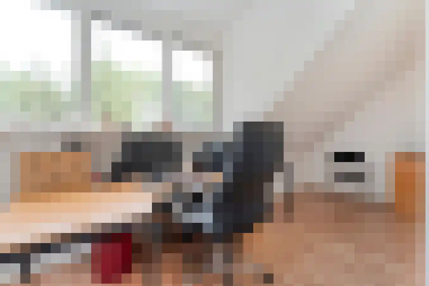 Het Hoge Holt 8 Hoogeveen thumbnail 59