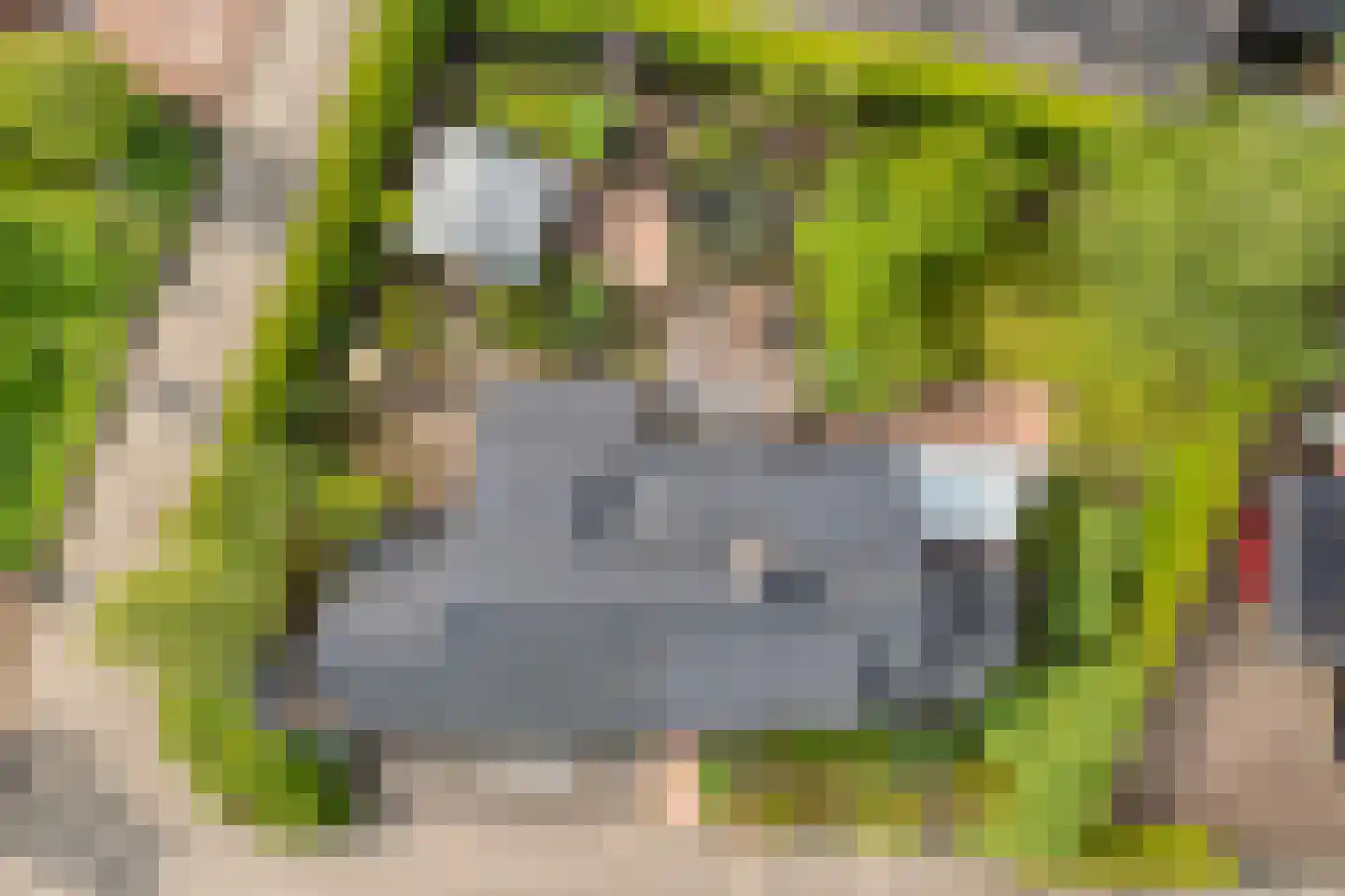 Het Hoge Holt 8 Hoogeveen thumbnail 6