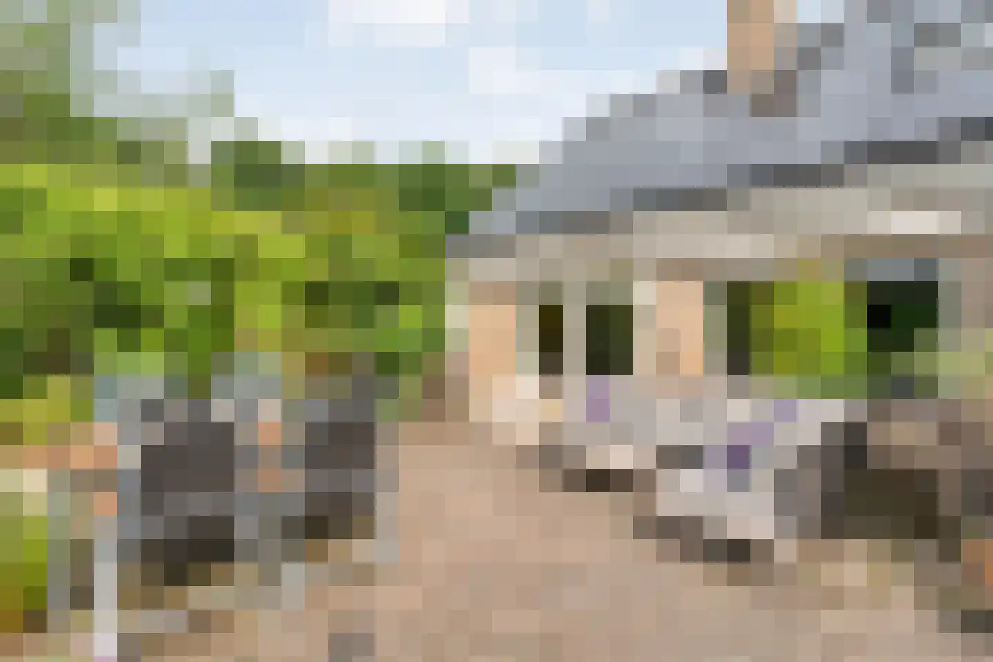 Het Hoge Holt 8 Hoogeveen thumbnail 67