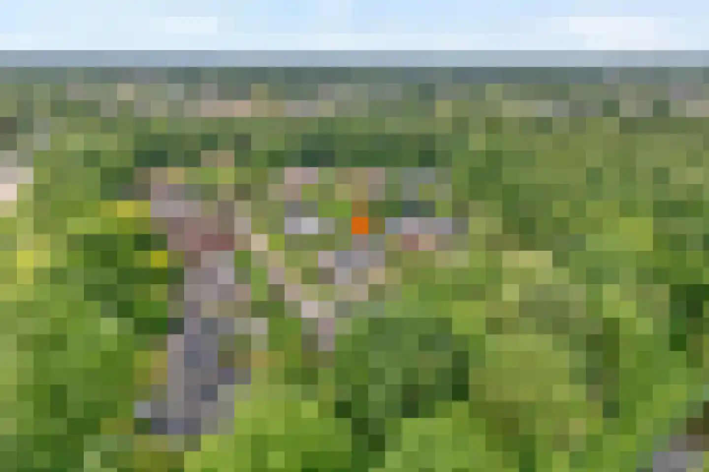 Het Hoge Holt 8 Hoogeveen thumbnail 7