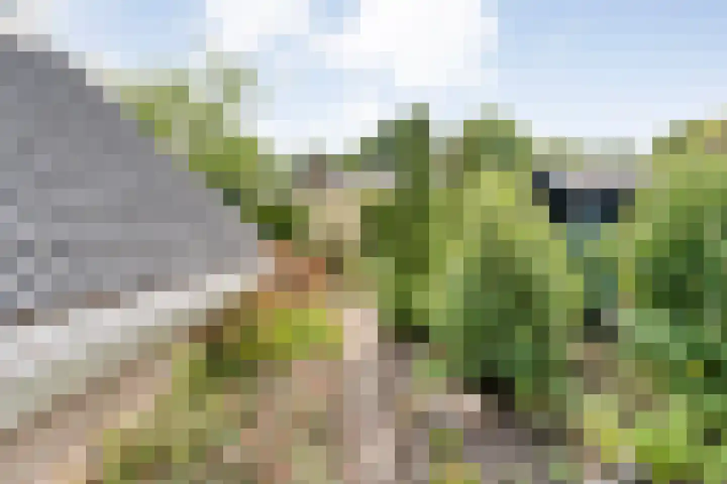 Het Hoge Holt 8 Hoogeveen thumbnail 70