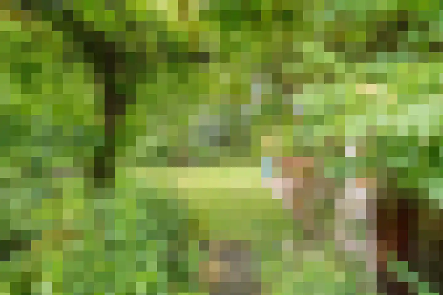 Het Hoge Holt 8 Hoogeveen thumbnail 74
