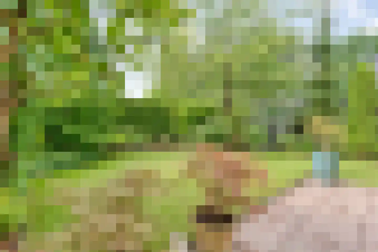 Het Hoge Holt 8 Hoogeveen thumbnail 75
