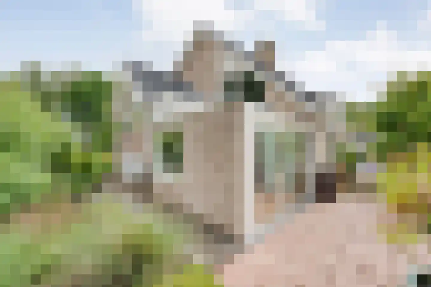 Het Hoge Holt 8 Hoogeveen thumbnail 77