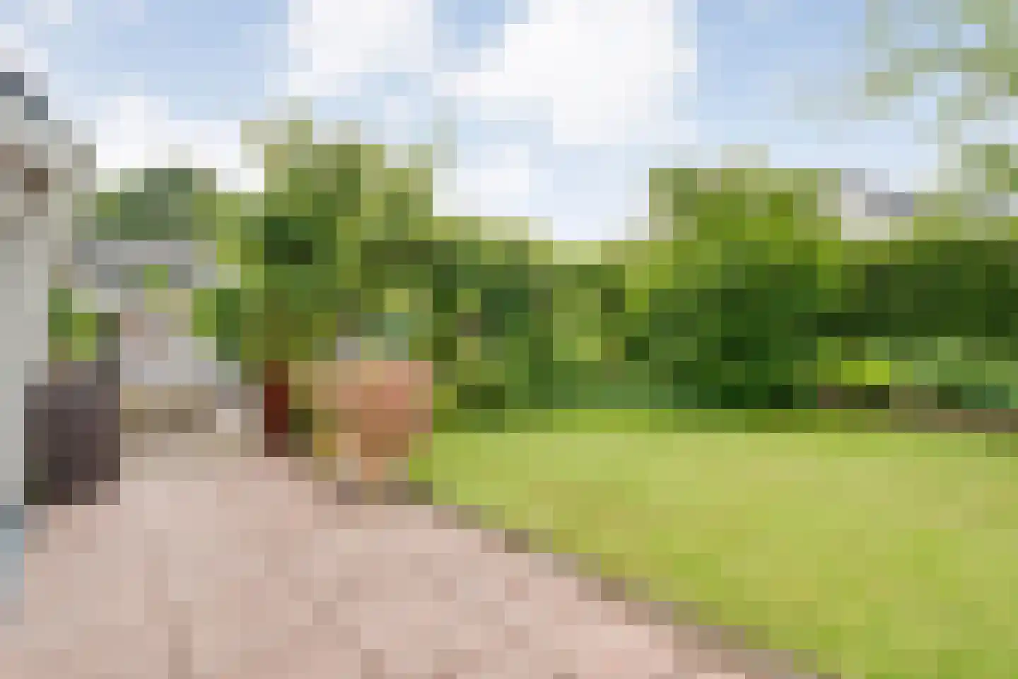 Het Hoge Holt 8 Hoogeveen thumbnail 78