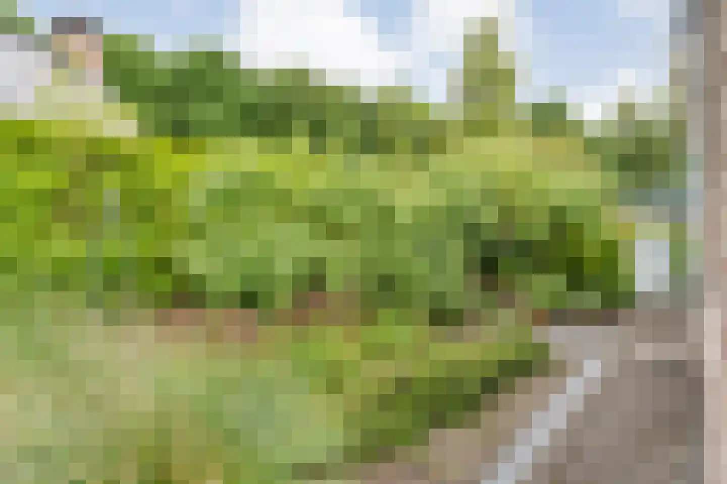 Het Hoge Holt 8 Hoogeveen thumbnail 79
