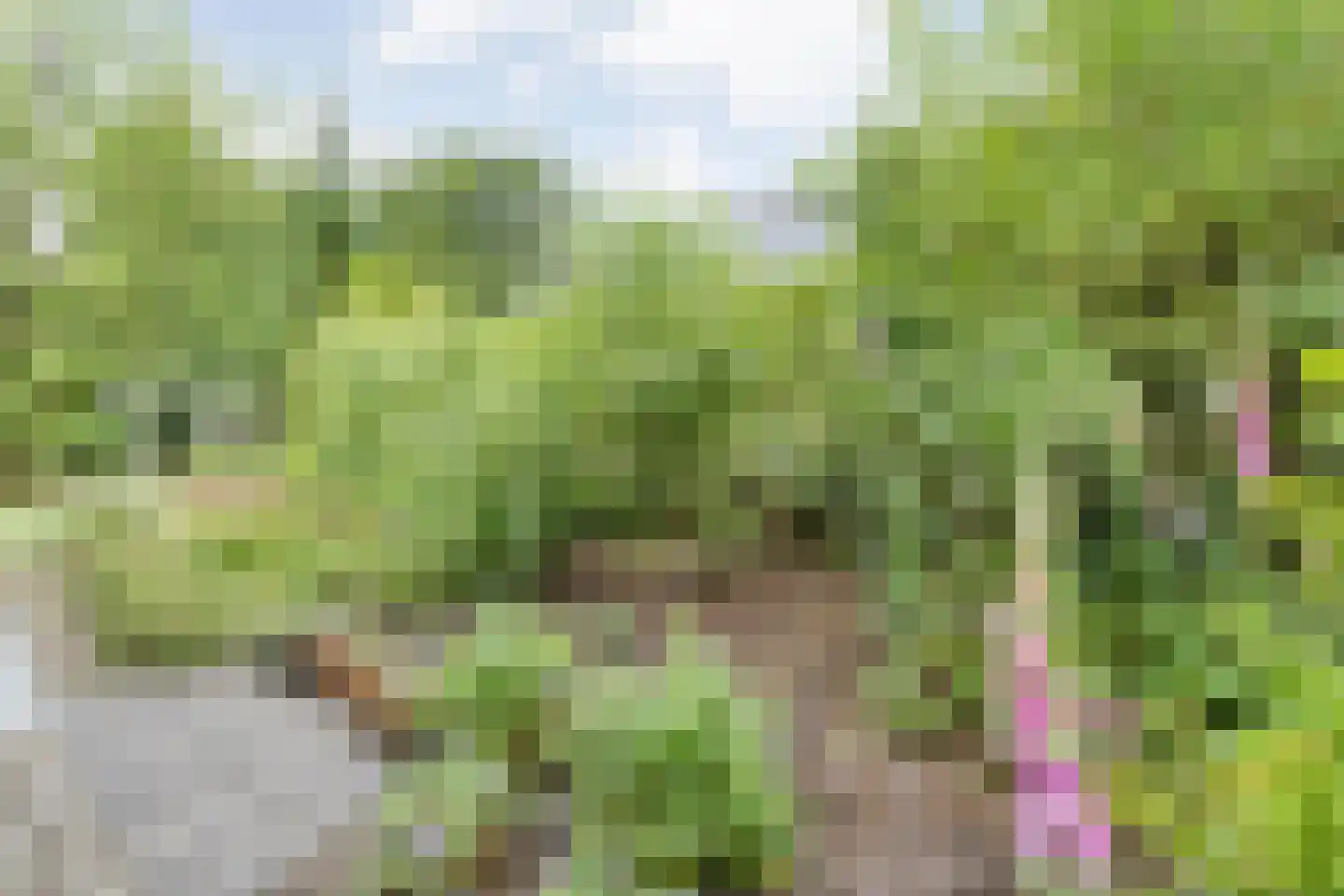 Het Hoge Holt 8 Hoogeveen thumbnail 80