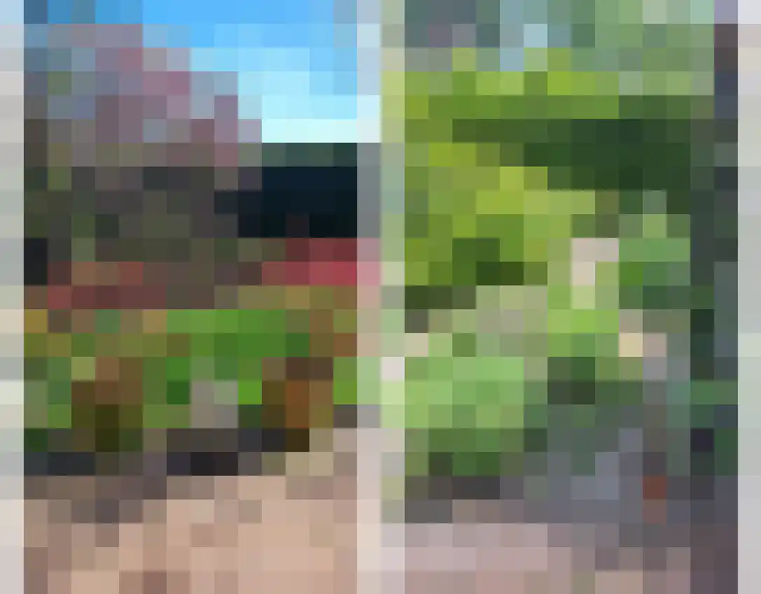 Het Hoge Holt 8 Hoogeveen thumbnail 81