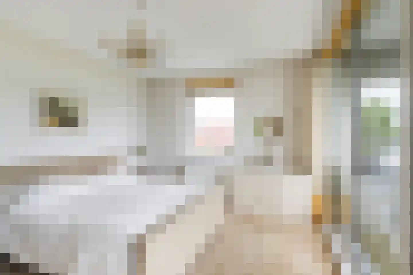 Het Hoge Licht 11 Maassluis thumbnail 25