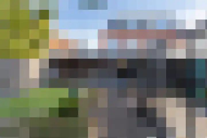 Het Hoge Licht 58 Maassluis thumbnail 28