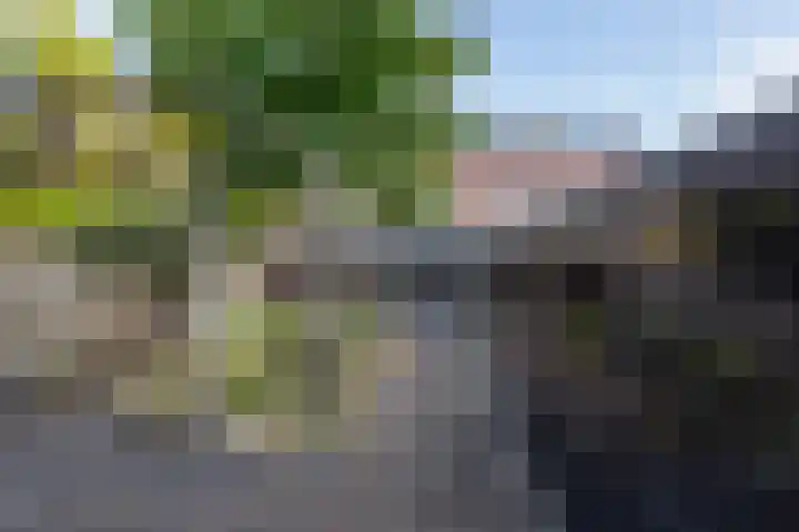 Het Hoge Licht 58 Maassluis thumbnail 30