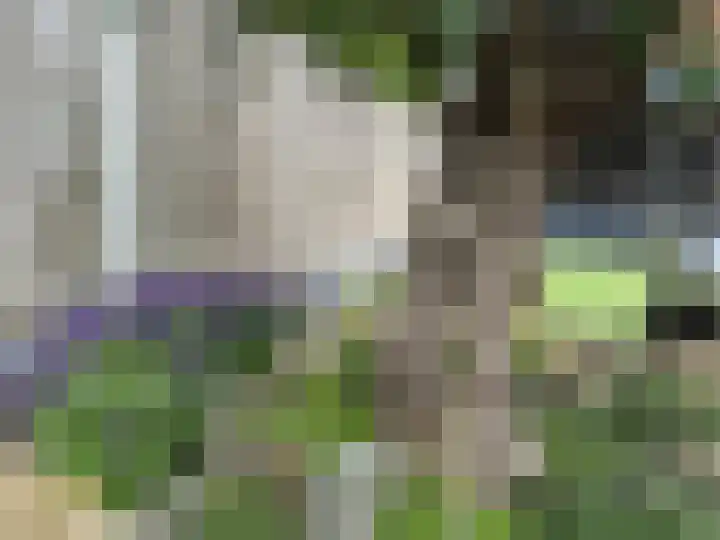 Het Hoge Licht 58 Maassluis thumbnail 31