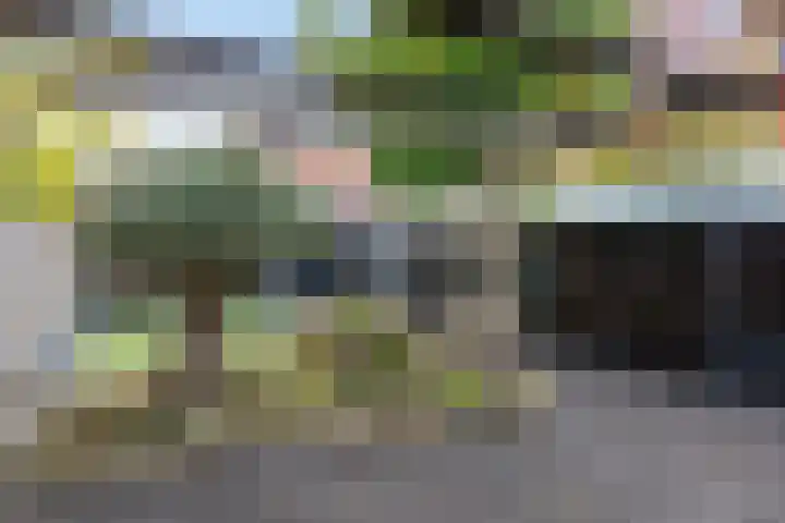 Het Hoge Licht 58 Maassluis thumbnail 33