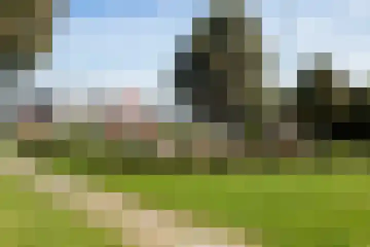 Het Hoge Licht 58 Maassluis thumbnail 56