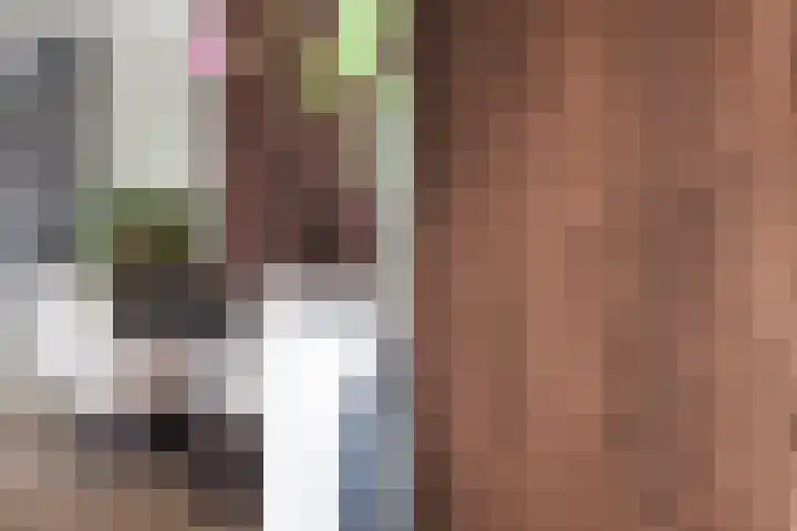 Het Hoge Licht 63 Maassluis thumbnail 17
