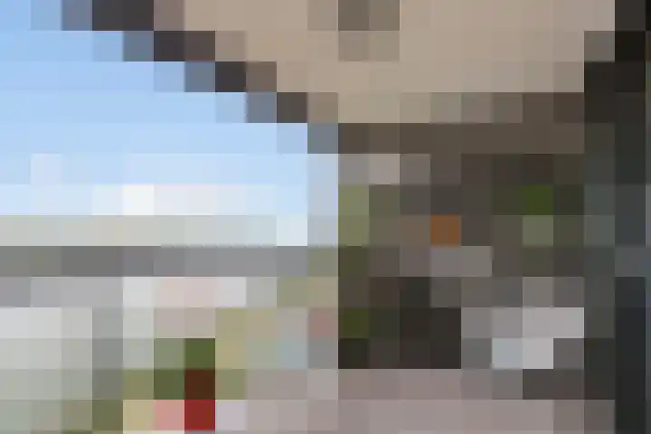 Het Hoge Licht 63 Maassluis thumbnail 22
